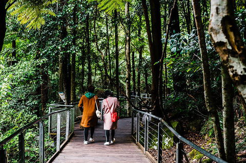 All-Inclusive Blue Mountains Day Trip With River Cruise - Accommodation Ballina 10