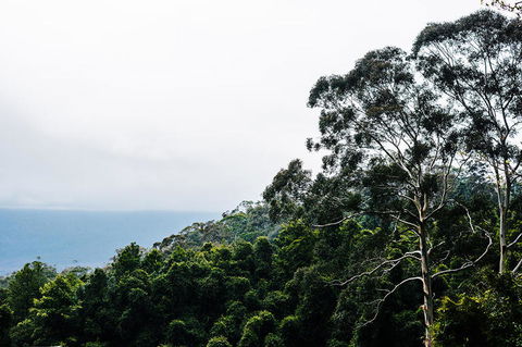 All-Inclusive Blue Mountains Day Trip With River Cruise - Accommodation Ballina 18