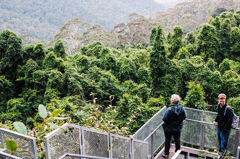 All-Inclusive Blue Mountains Day Trip With River Cruise - Accommodation Ballina 2