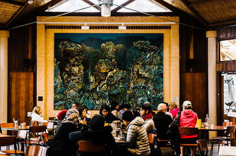 All-Inclusive Blue Mountains Day Trip With River Cruise - Accommodation Ballina 13