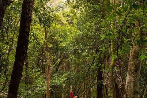 All-Inclusive Blue Mountains Day Trip With River Cruise - Accommodation Ballina 26