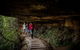 All-Inclusive Blue Mountains Day Trip With River Cruise - thumb 34