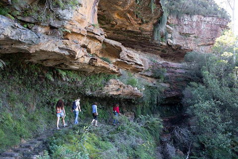 All-Inclusive Blue Mountains Day Trip With River Cruise - Accommodation Ballina 38