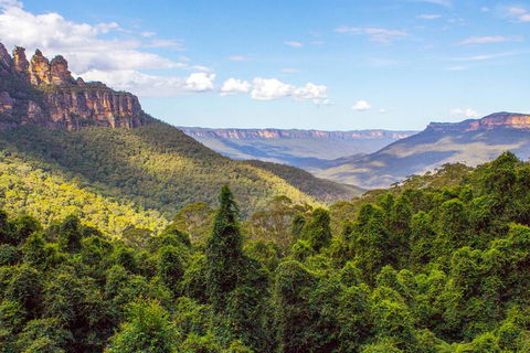 All-Inclusive Blue Mountains Day Trip With River Cruise - Accommodation Ballina 28