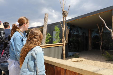 All-Inclusive Blue Mountains Day Trip With River Cruise - Accommodation Ballina 23