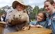 All-Inclusive Blue Mountains Day Trip With River Cruise - thumb 35