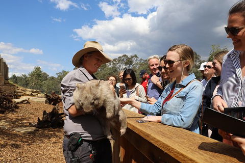 All-Inclusive Blue Mountains Day Trip With River Cruise - Accommodation Ballina 27