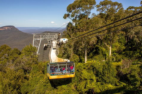 All-Inclusive Blue Mountains Day Trip With River Cruise - Accommodation Ballina 39
