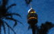 Infinity At Sydney Tower - thumb 17