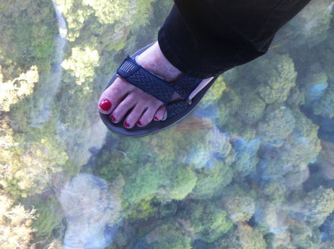 Blue Mountains Day Trip From Sydney Including Scenic World - Accommodation Ballina 1