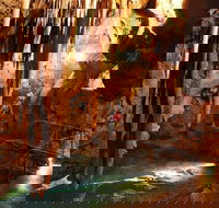 Jenolan Caves and Blue Mountains Tour from Sydney - Accommodation Ballina