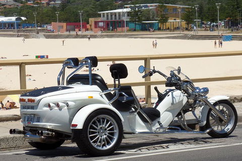 Sydney Six Beaches Trike Tour - Accommodation Ballina 7