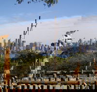 Sydney Taronga Zoo's Australian Animals Tour - Accommodation Ballina