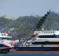 Sydney Boxing Day Cruise 2019 - Accommodation Ballina