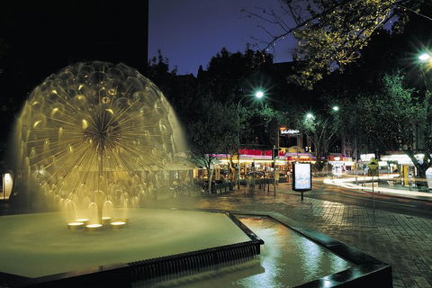 Private Tour: Sydney At Night - Accommodation Ballina 8