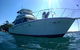 Big Day Out On Sydney Harbour For Small Groups - thumb 4