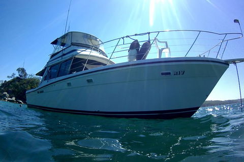 Big Day Out On Sydney Harbour For Small Groups - Accommodation Ballina 4