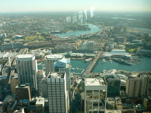 Sydney Pass: SEA LIFE Aquarium, Sydney Tower Eye, WILD LIFE Sydney, Sydney Harbour Cruise, And Madame Tussauds - Accommodation Ballina 16