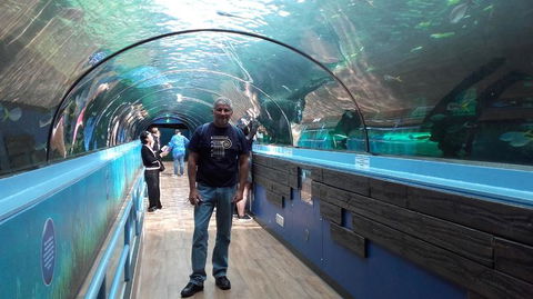 Sydney Pass: SEA LIFE Aquarium, Sydney Tower Eye, WILD LIFE Sydney, Sydney Harbour Cruise, And Madame Tussauds - Accommodation Ballina 5