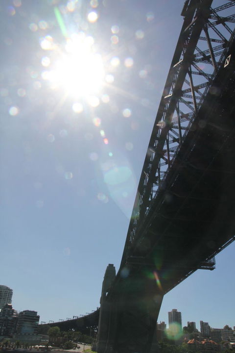 Sydney Pass: SEA LIFE Aquarium, Sydney Tower Eye, WILD LIFE Sydney, Sydney Harbour Cruise, And Madame Tussauds - Accommodation Ballina 20