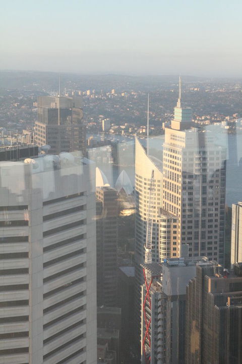 Sydney Pass: SEA LIFE Aquarium, Sydney Tower Eye, WILD LIFE Sydney, Sydney Harbour Cruise, And Madame Tussauds - Accommodation Ballina 18