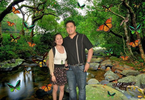 Sydney Pass: SEA LIFE Aquarium, Sydney Tower Eye, WILD LIFE Sydney, Sydney Harbour Cruise, And Madame Tussauds - Accommodation Ballina 11