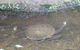 Visit Walkabout Wildlife Sanctuary - thumb 5