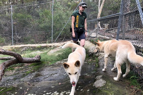 Visit Walkabout Wildlife Sanctuary - Accommodation Ballina 8