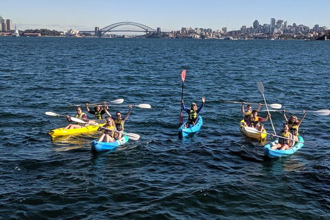 Sydney Harbour Sea Kayak Tour - Accommodation Ballina 1