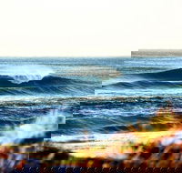 7-Day Byron Bay Evans Head and Moonee Beach Surf Safari from Brisbane Gold Coast or Byron Bay - Accommodation Ballina