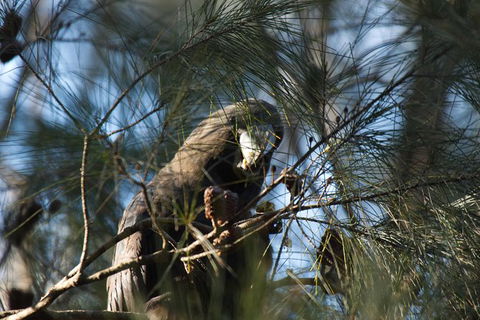Private Blue Mountains Insider Tour From Sydney - Accommodation Ballina 24