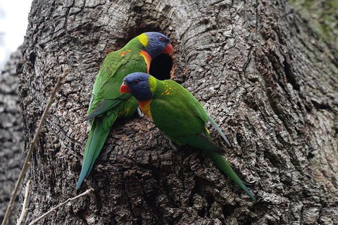 Private Blue Mountains Insider Tour From Sydney - Accommodation Ballina 8