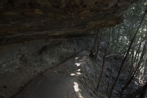 Private Blue Mountains Insider Tour From Sydney - Accommodation Ballina 25