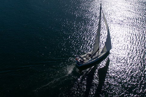 Vivid Dinner Cruise Sydney Harbour - Accommodation Ballina 7