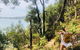 Best Of The Hawkesbury - 3 Day River Adventure - thumb 29