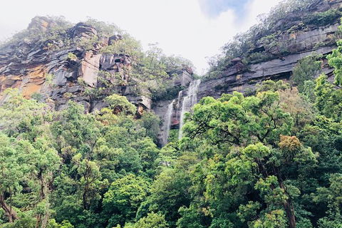 Best Of The Hawkesbury - 3 Day River Adventure - Accommodation Ballina 15