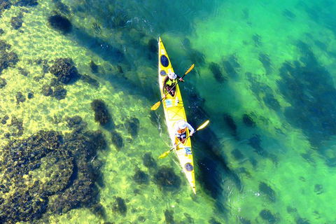 Self-Guided Sydney Middle Harbour Kayak 3 Hour Tour By Double Kayak - Accommodation Ballina 3