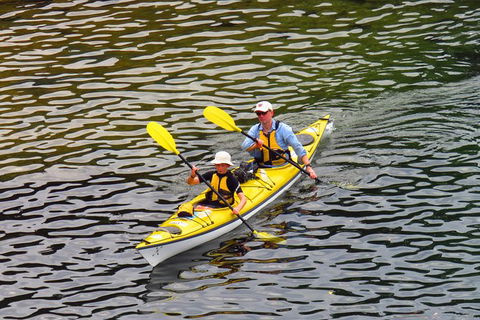 Self-Guided Sydney Middle Harbour Kayak 3 Hour Tour By Double Kayak - Accommodation Ballina 6