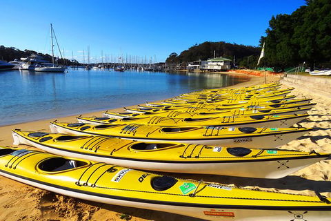 Self-Guided Sydney Middle Harbour Kayak 3 Hour Tour By Double Kayak - Accommodation Ballina 4