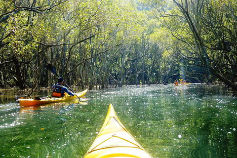 Self-Guided Sydney Middle Harbour Kayak 3 Hour Tour By Double Kayak - Accommodation Ballina 5