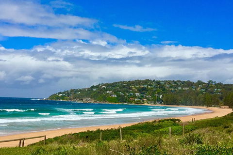 Small-Group Sydney\'s Northern Beaches And Ku-ring-gai National Park Bus Tour - Accommodation Ballina 11