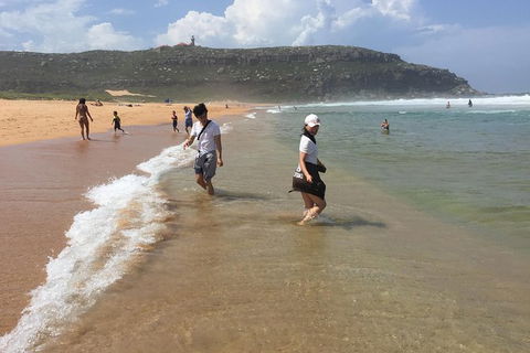 Small-Group Sydney\'s Northern Beaches And Ku-ring-gai National Park Bus Tour - Accommodation Ballina 6