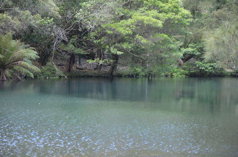 Blue Mountains And Jenolan Caves Motorcoach Day Tour - Accommodation Ballina 4