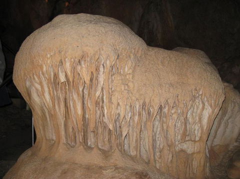 Blue Mountains And Jenolan Caves Motorcoach Day Tour - Accommodation Ballina 18