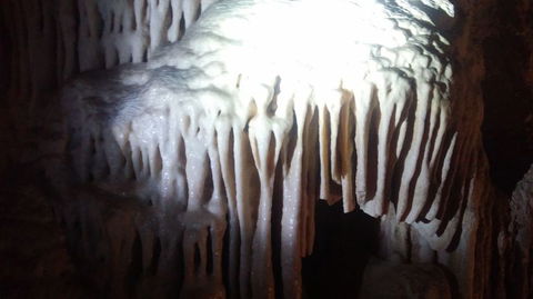 Blue Mountains And Jenolan Caves Motorcoach Day Tour - Accommodation Ballina 6
