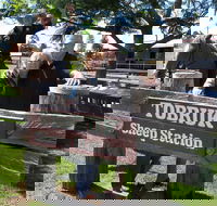 Private Tobruk Sheep Station Day Tour from Sydney Including BBQ Lunch - Accommodation Ballina