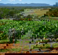 Small Group All Inclusive Hunter Valley Wine Tasting Tour from Sydney - Accommodation Ballina