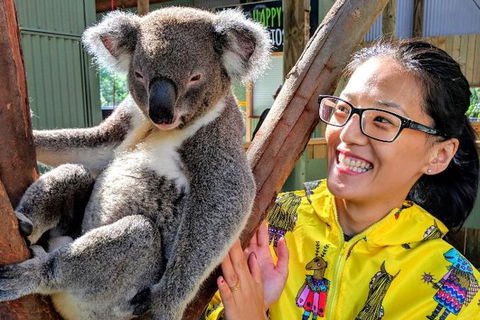 Wildlife Waterfalls And Wine Day Tour From Sydney - Accommodation Ballina 0