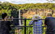 Wildlife Waterfalls And Wine Day Tour From Sydney - thumb 5