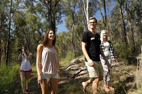 Stray Australia: Blue Mountains - Day Tour - Accommodation Ballina 1